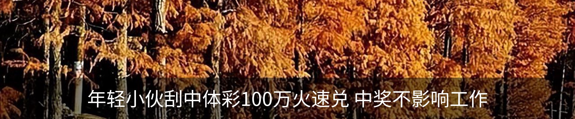 内页banner