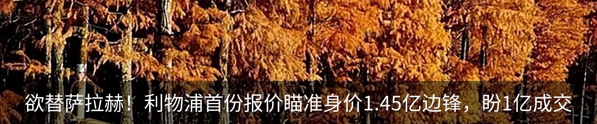 内页banner